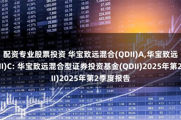 配资专业股票投资 华宝致远混合(QDII)A,华宝致远混合(QDII)C: 华宝致远混合型证券投资基金(QDII)2025年第2季度报告