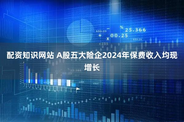 配资知识网站 A股五大险企2024年保费收入均现增长