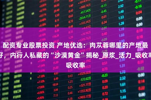 配资专业股票投资 产地优选：肉苁蓉哪里的产地最好，内行人私藏的“沙漠黄金”揭秘_原浆_活力_吸收率