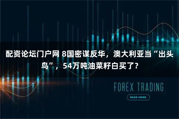 配资论坛门户网 8国密谋反华，澳大利亚当“出头鸟”，54万吨油菜籽白买了？