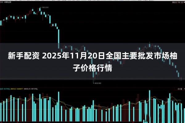 新手配资 2025年11月20日全国主要批发市场柚子价格行情