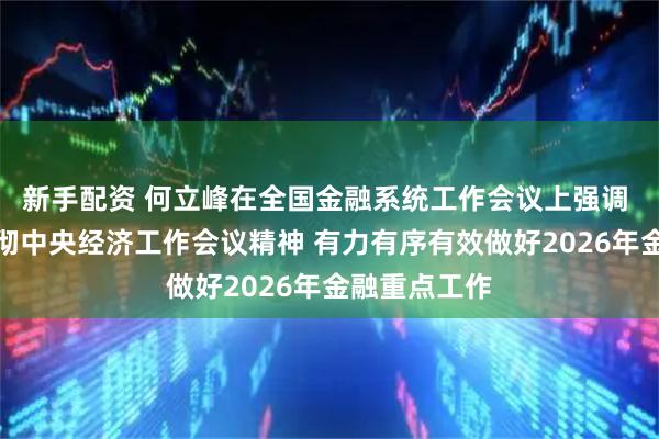 新手配资 何立峰在全国金融系统工作会议上强调 深入学习贯彻中央经济工作会议精神 有力有序有效做好2026年金融重点工作